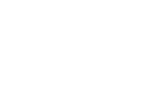 check-icon